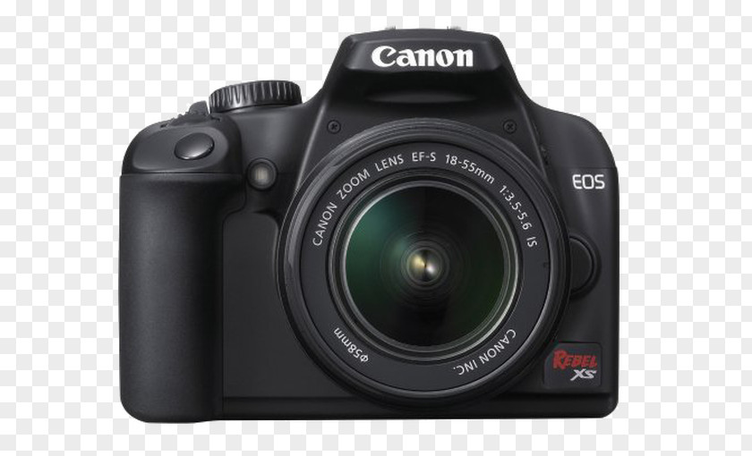 Colorful Bird Canon EOS 1000D 1100D 450D 500D 700D PNG
