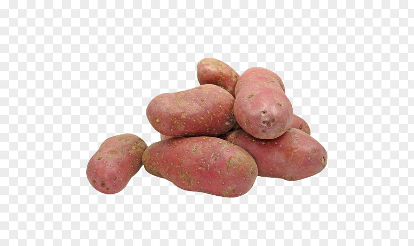 Sweet Potato Kerrs Pink Vegetable Candy PNG