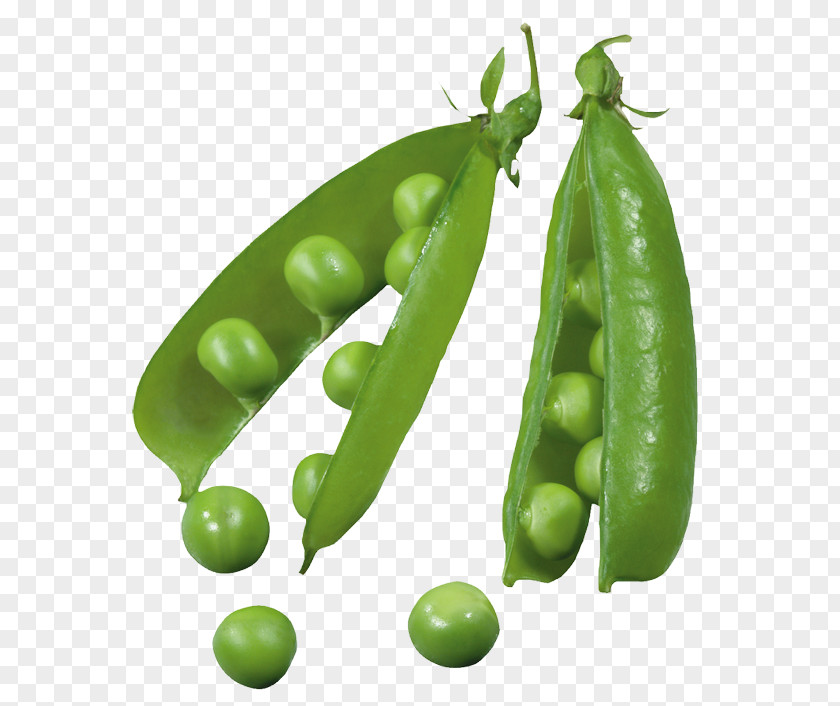 Vegetable Vegetarian Cuisine Snow Pea Bean Snap PNG