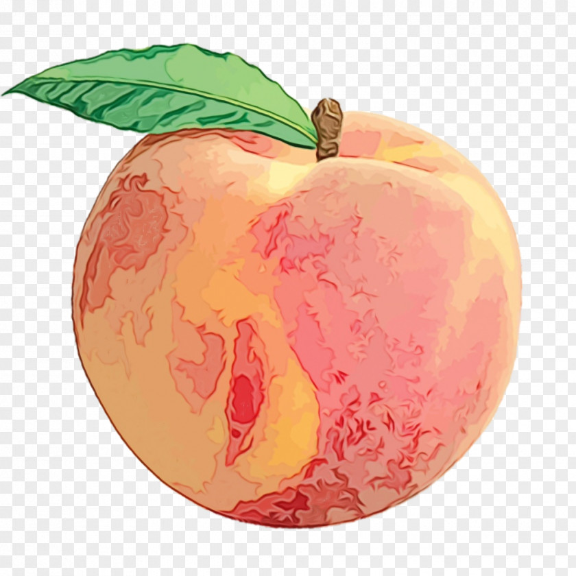 Apple Fruit Clip Art Juice Peach PNG