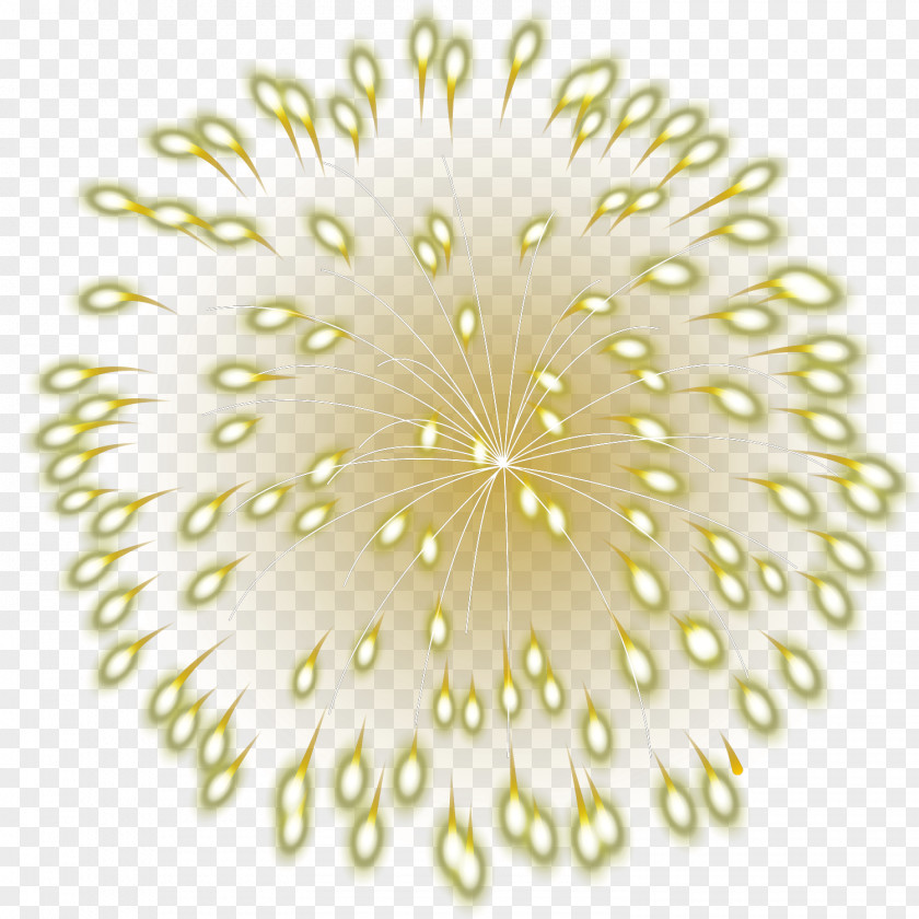 Blooming Fireworks Software RGB Color Model PNG