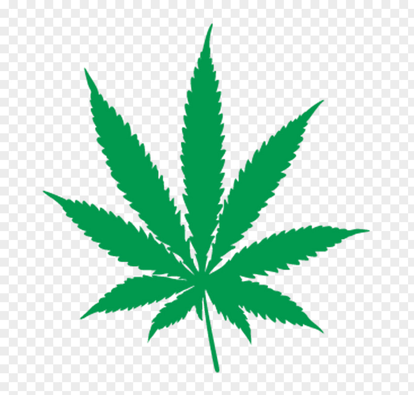 Cannabis Ruderalis Vector Graphics Clip Art Sativa PNG