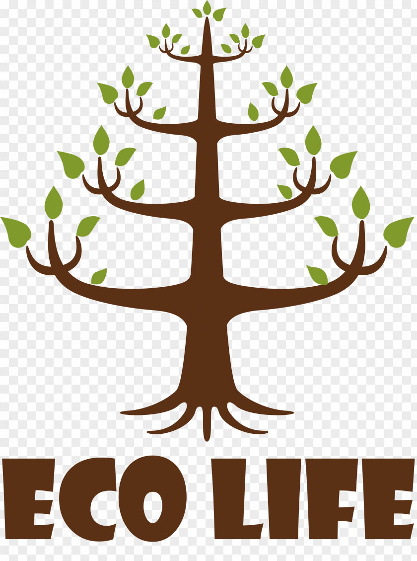 Eco Life Tree PNG