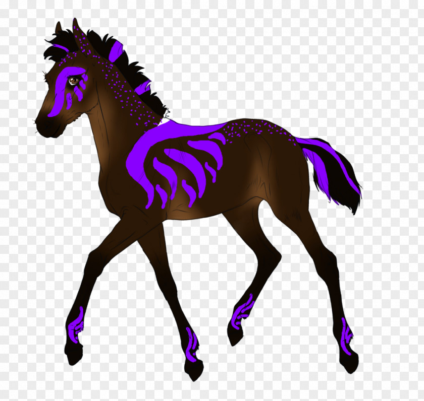Mustang Pony Australian Stock Horse Morgan Stallion PNG