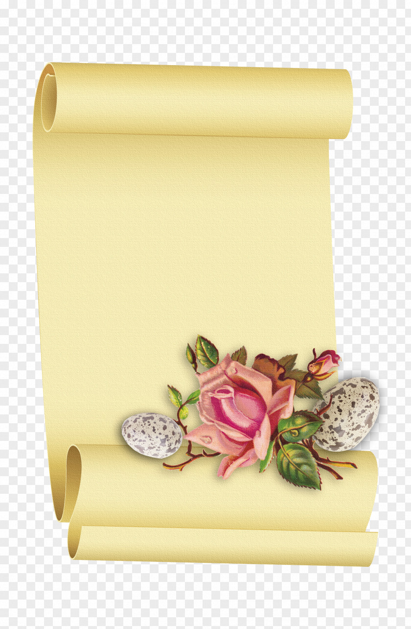 Parchemin Paper Scroll Parchment Borders And Frames Clip Art PNG