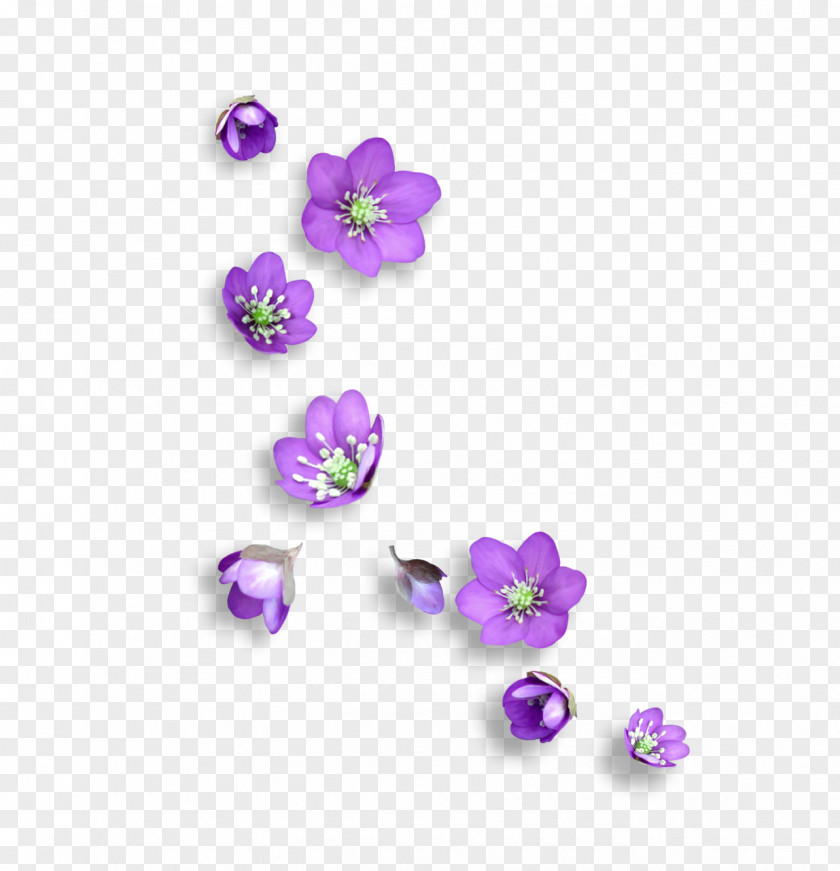 Small Floral Flower Icon PNG