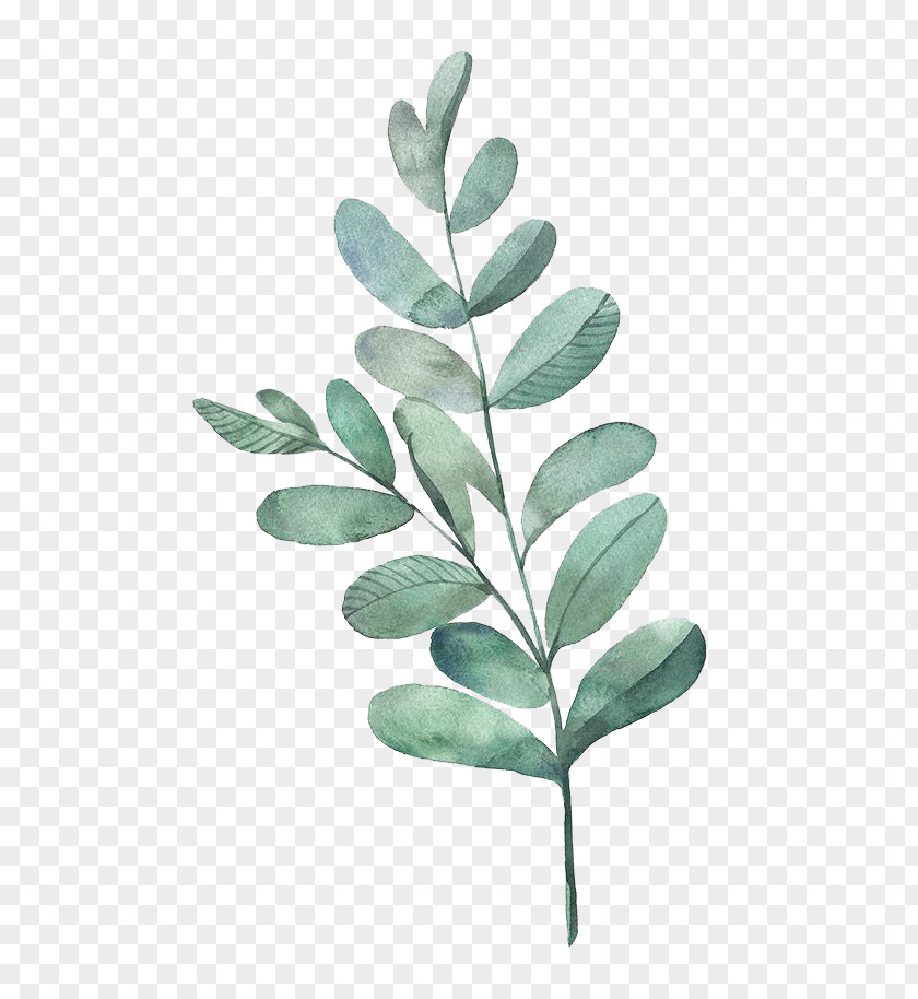 Watercolor Painting Leaf Illustration PNG painting Illustration, leaves, green leafed plant clipart PNG