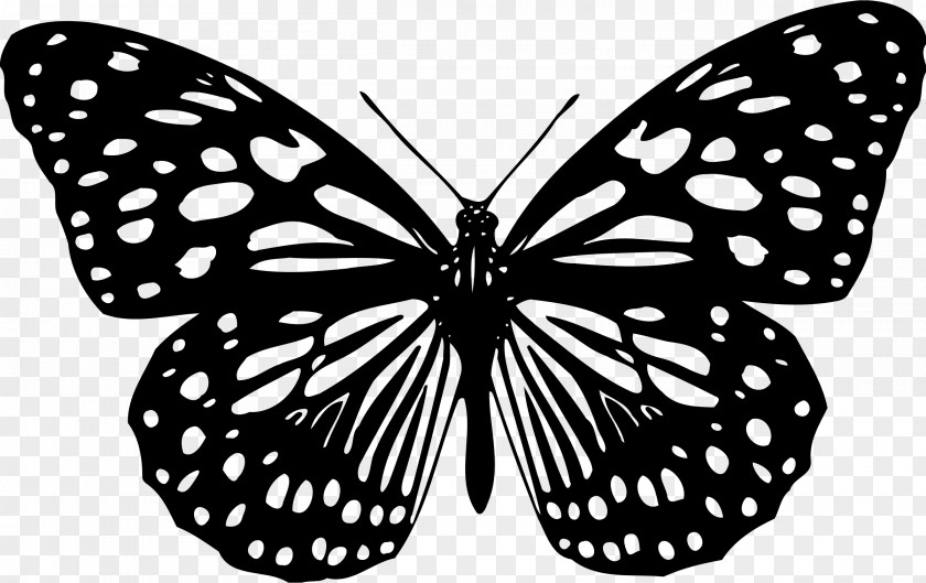 Butterfly Animation Clip Art PNG