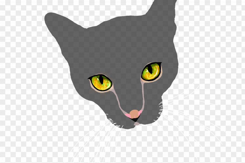 Crookedstar Warrior Cats Whiskers Korat Domestic Short-haired Cat Black Clip Art PNG