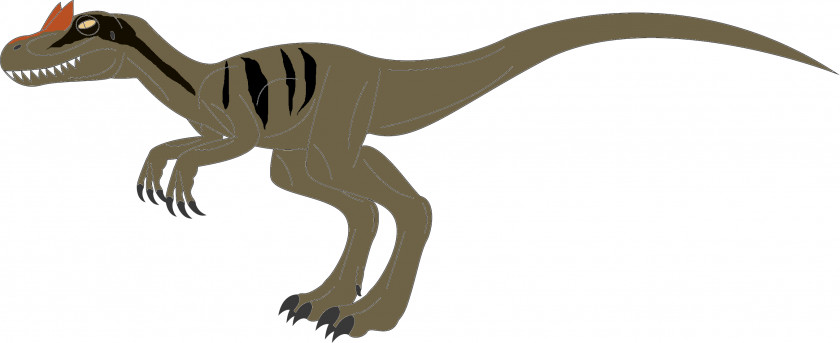 Dinosaur Allosaurus Giganotosaurus Ornitholestes Tyrannosaurus Velociraptor PNG
