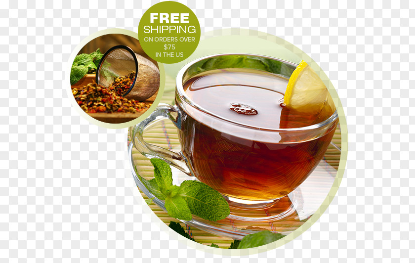 Herbal Tea Intestine Medicinal Plants Health Medicine PNG