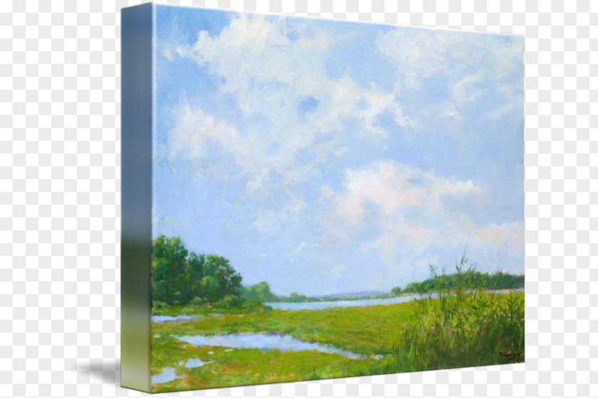 Painting Acrylic Paint Gallery Wrap Picture Frames PNG