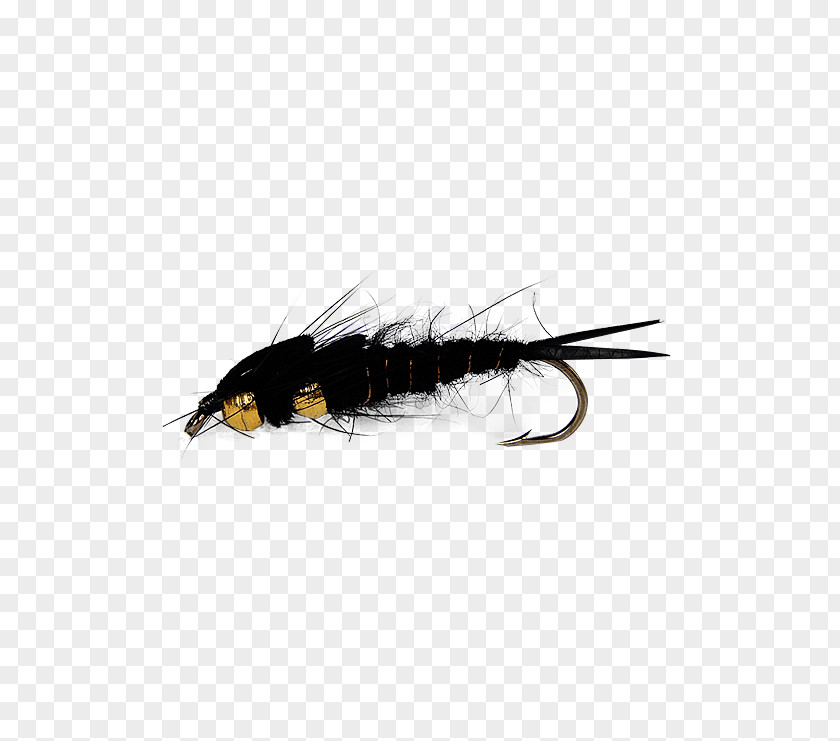 Salmon Flies Fly Fishing Insect Stoneflies Holly PNG