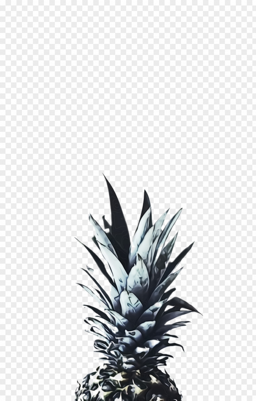 Blackandwhite Flower Pineapple PNG