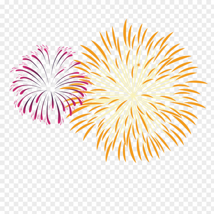 Celebration Fireworks Pyrotechnics PNG