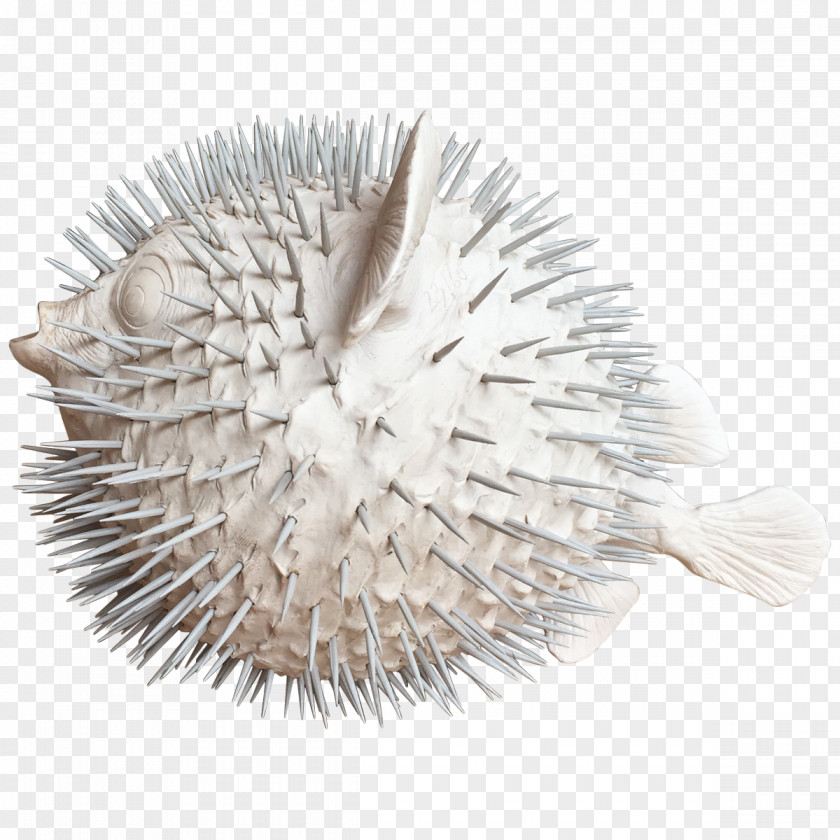 Designer Pufferfish Furniture Viyet PNG