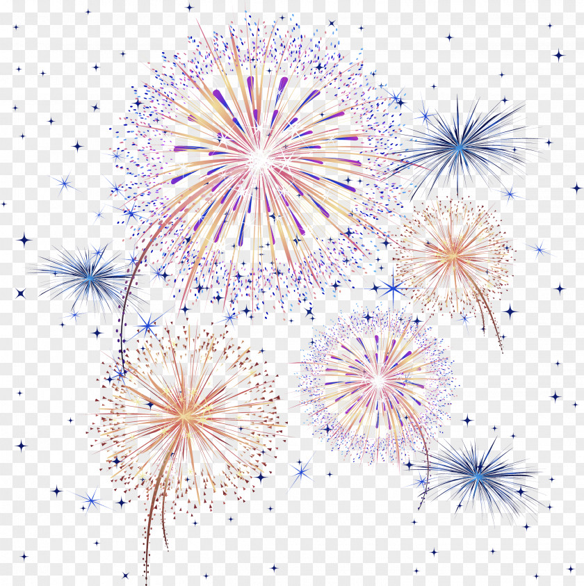 Line Dandelion Plant PNG