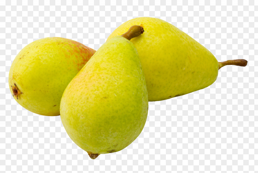 Pear Fruit PNG