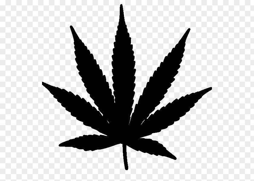 Recreational Drug Use Vector Graphics Cannabis Substance Abuse PNG