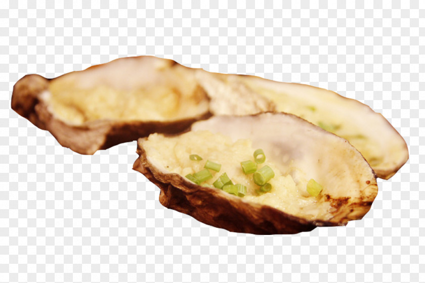 Barbecue Oysters Picture Material Oyster Barbacoa PNG