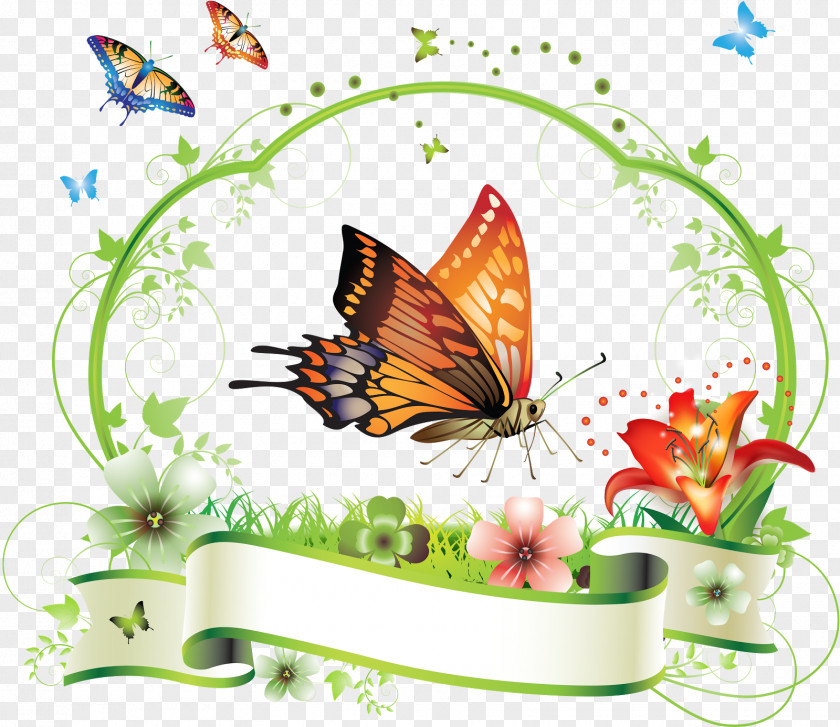 Butterfly Frame Flower Floral Design Clip Art PNG