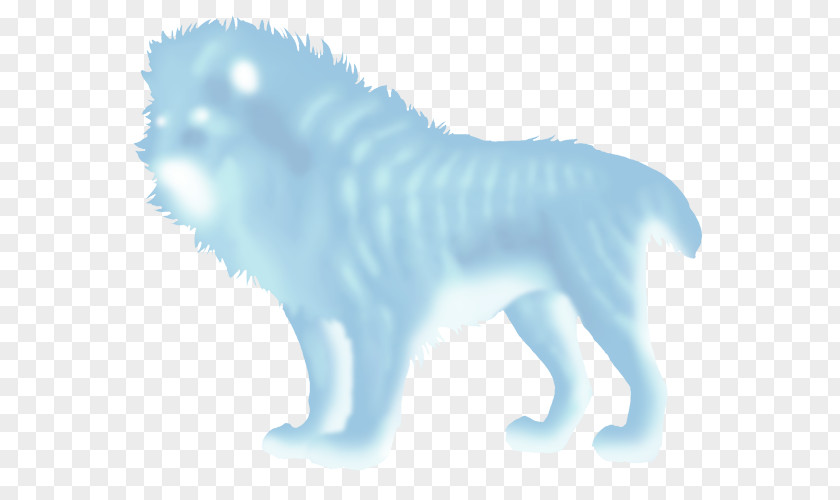 Dog Cat Desktop Wallpaper Snout Computer PNG