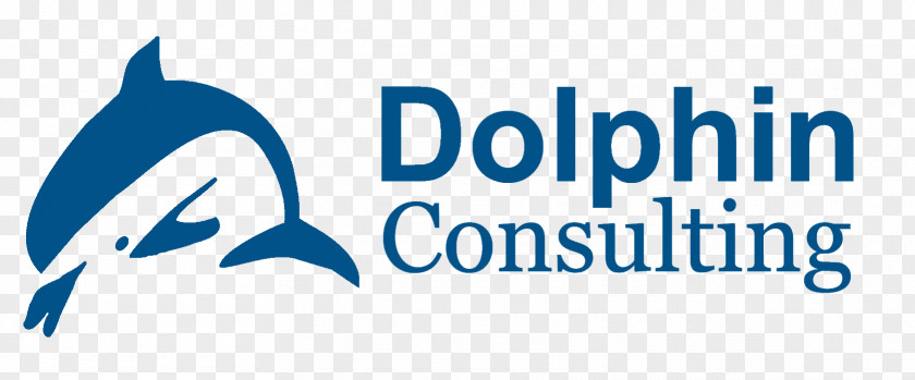 Dolphin Company Service Management Consulting Business PNG