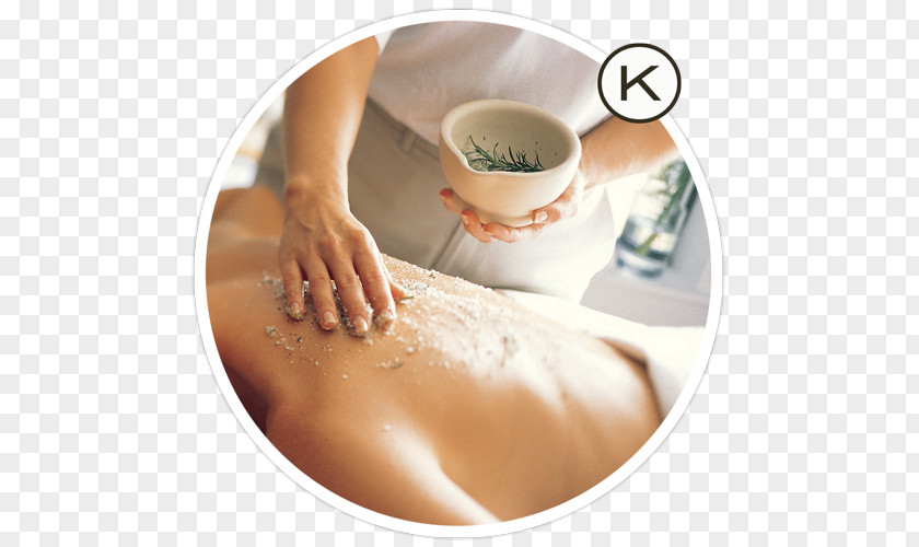 Ludawn Spa Salon Human Skin Exfoliation Massage Wrinkle PNG