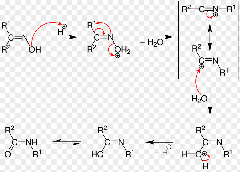 Beckmann Rearrangement Reaction Amide Hofmann Chemical PNG