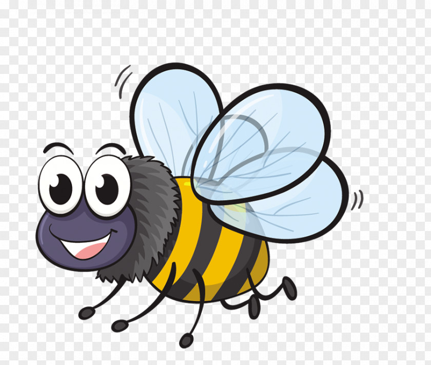 Bee Insect Cartoon Clip Art PNG