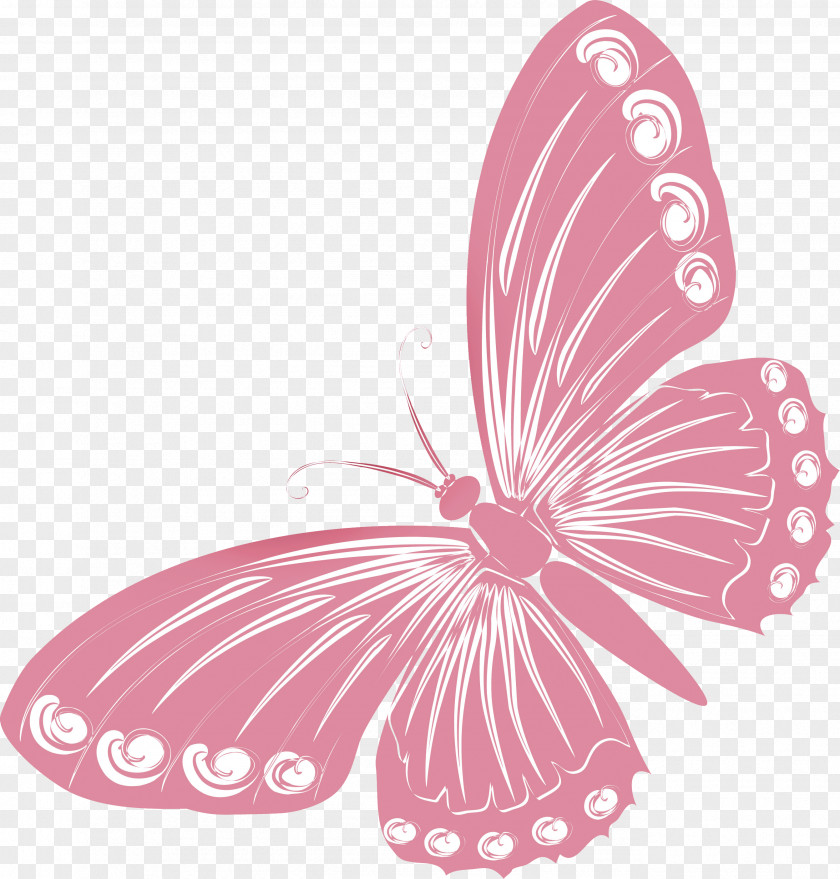 Butterfly Drawing Clip Art PNG