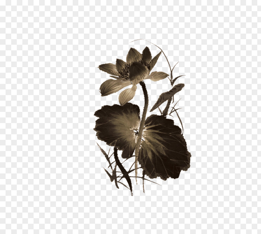 Chinese Style Lotus Heyexiang PNG