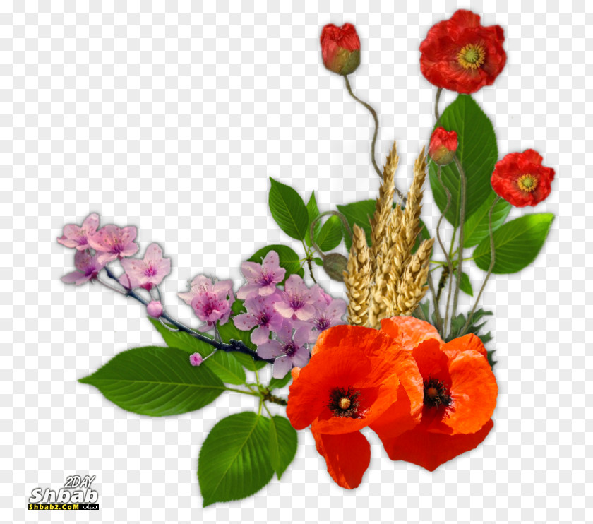 Compos Floral Design Cut Flowers PNG