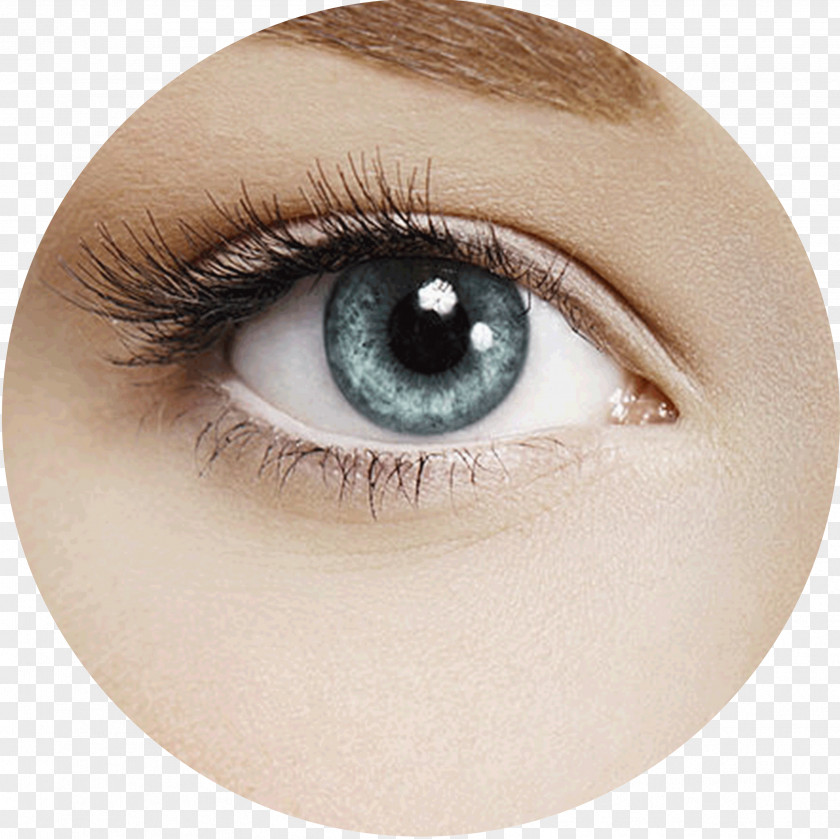 Face Eyelash Extensions Make-up Eyebrow Tattoo PNG