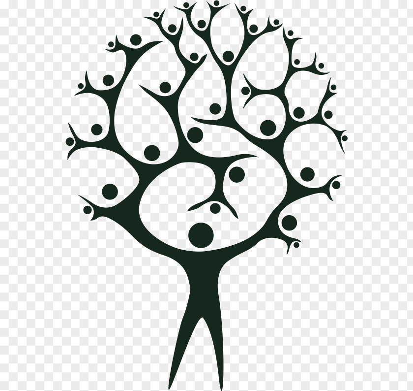 Family Constellations Tree Illustration Vector Graphics PNG