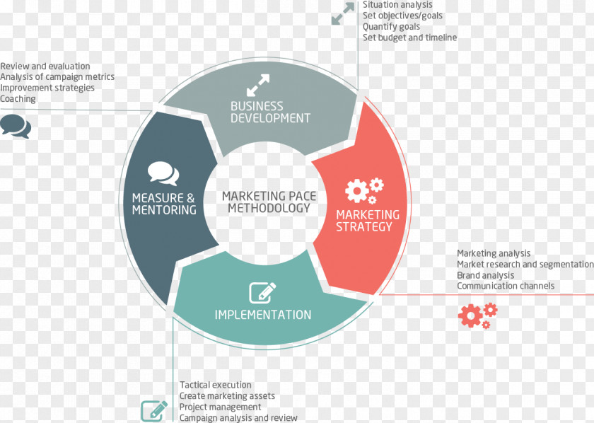 Info-graphic Diagram Organization Marketing Strategy PNG