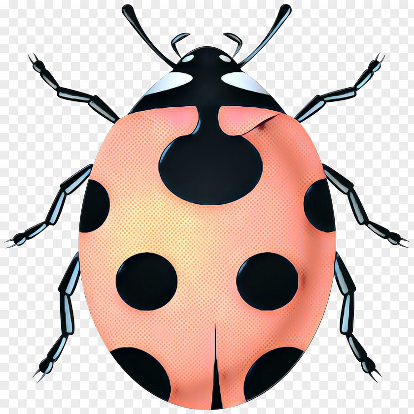 Ladybird Beetle Clip Art Vector Graphics PNG