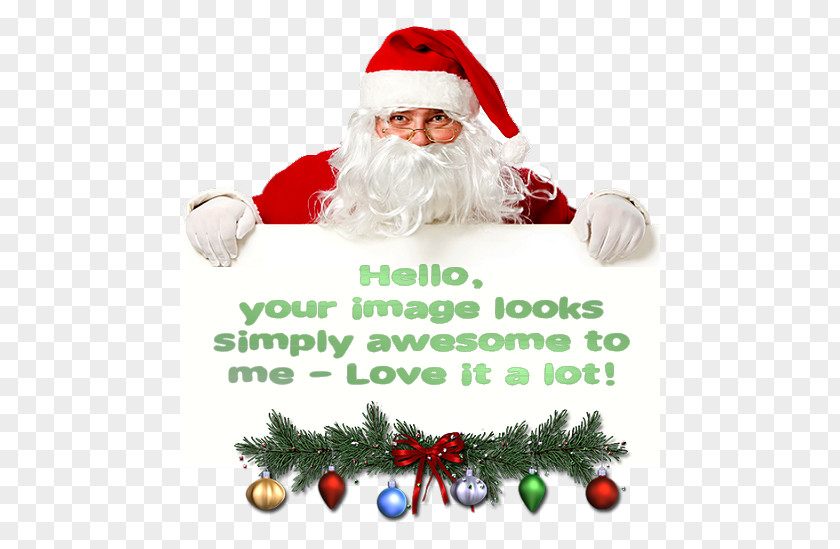 Lovely Bones Underground Santa Claus Stock Photography Royalty-free Stock.xchng Image PNG