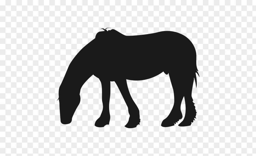 Mustang Pony Stallion Silhouette PNG