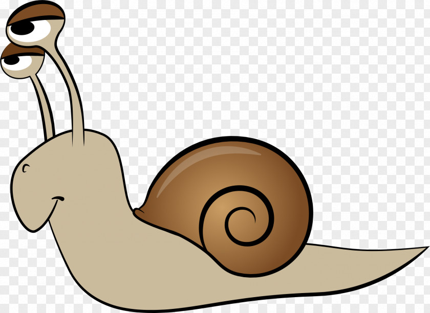 Snails Snail Animation Clip Art PNG