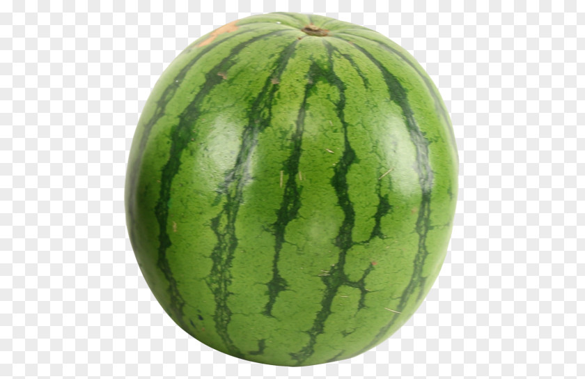 Almond Watermelon Cantaloupe Honeydew PNG