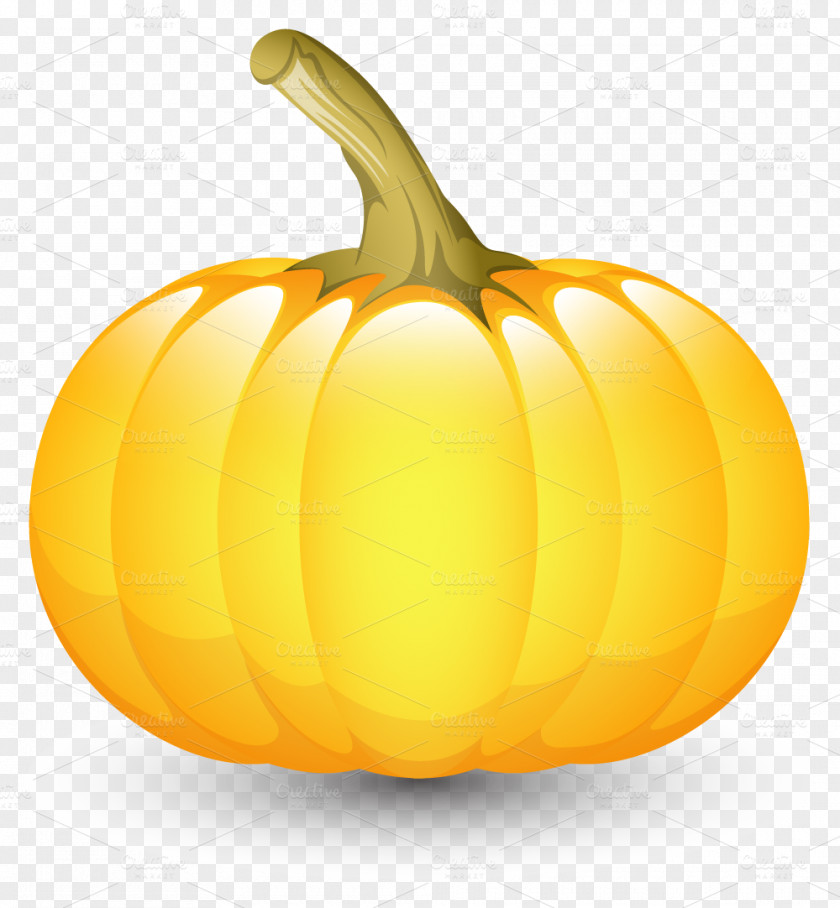 Amazonia Flyer Pumpkin Halloween Graphics Jack-o'-lantern Image PNG