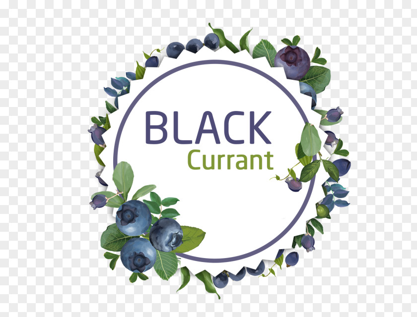 Black Currant Psd Computer File Creativity Graphics Watercolor Painting PNG