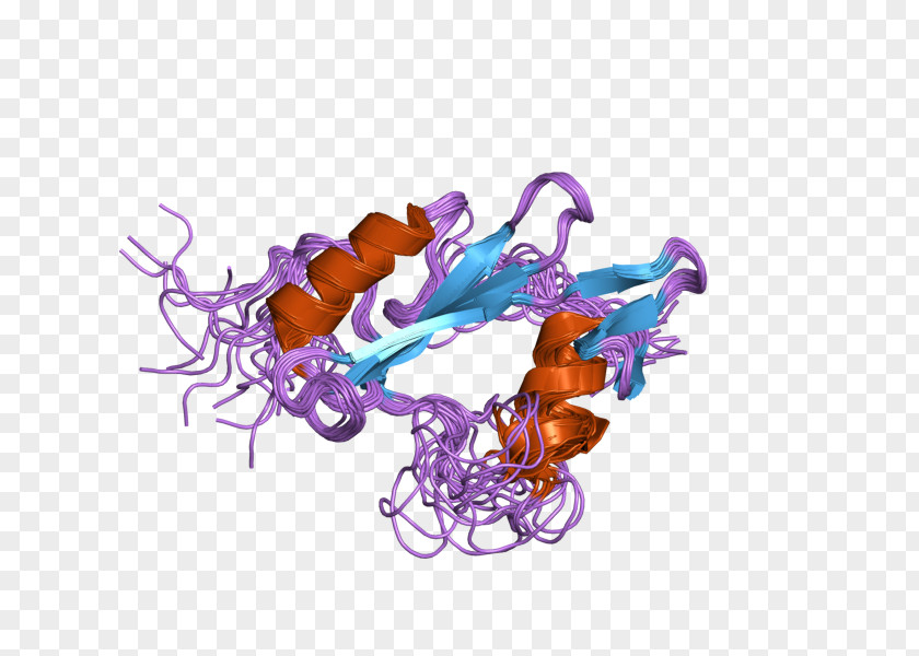 Bruton's Tyrosine Kinase Tryptase Mast Cell PNG