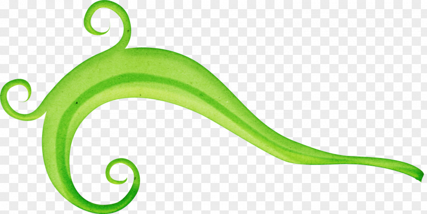 Casita Leaf Reptile Body Jewellery Vegetable Clip Art PNG
