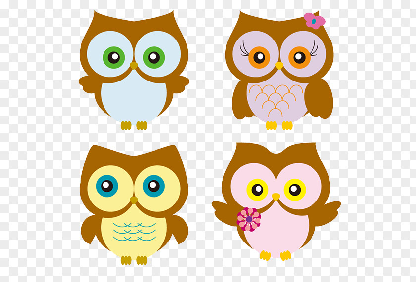 Four Cartoon Owl Drawing Clip Art PNG