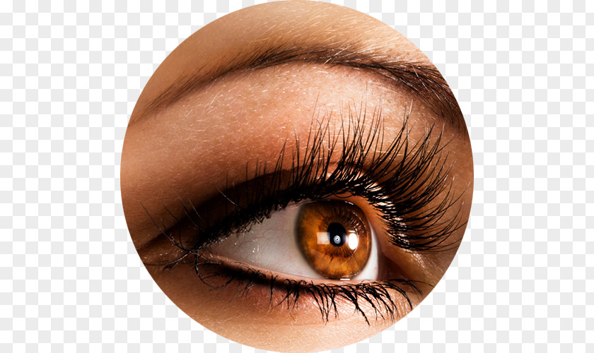 Eyelashes Eyelash Extensions Artificial Hair Integrations Beauty Parlour Cosmetics PNG