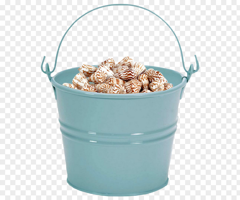 Flowerpot Beach Commodity Vacation 19/20 PNG