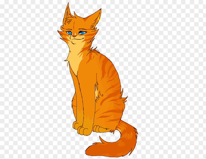 Kitten Whiskers Red Fox Cat PNG