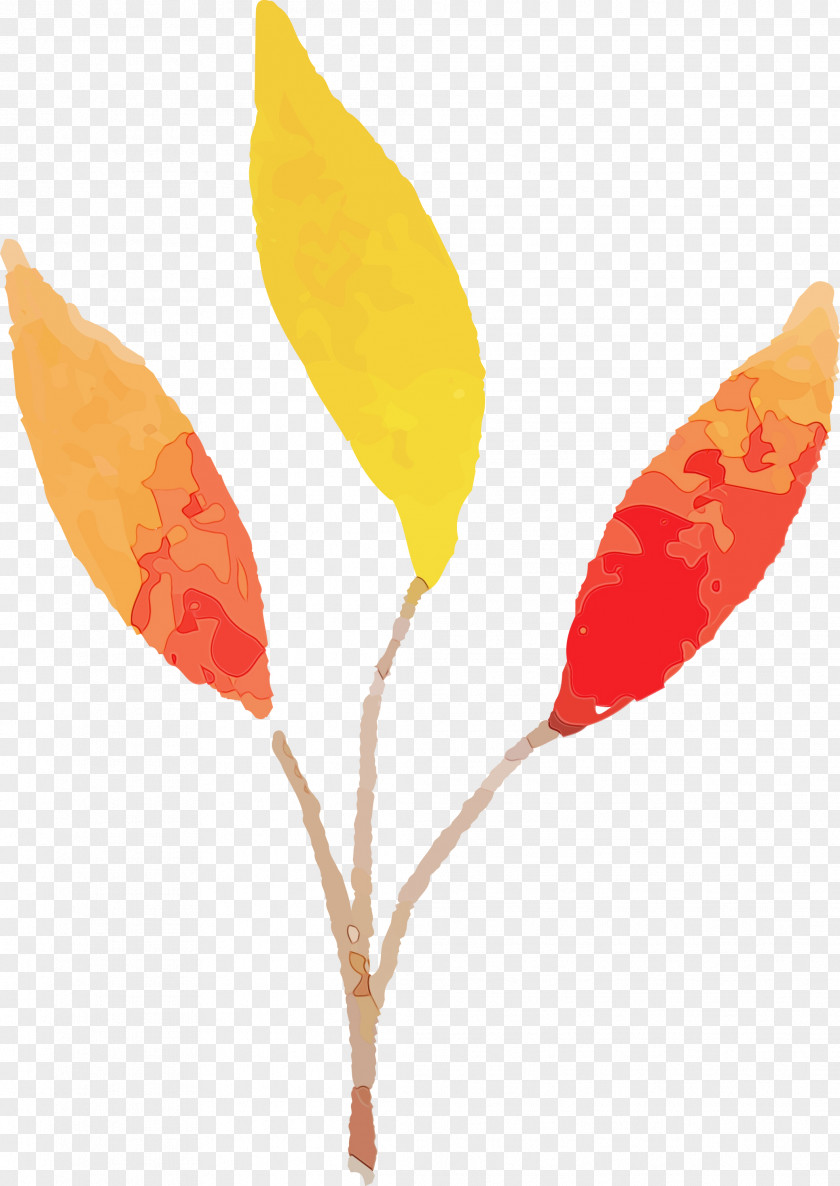 Plant Stem Leaf Petal Plants Biology PNG